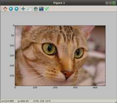 screenshot from 2015-02-21 12 13 27