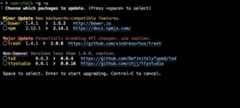 npm-check -g -u