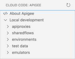 Apigee Explorer showing Apigee workspace folders, including apiproxies, sharedflows, environments, and tests.