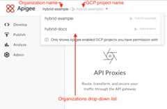 A list of organizations that are hybrid enabled
