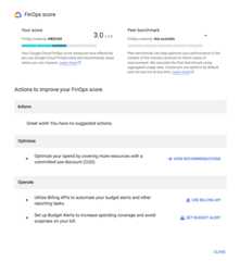 Example of the FinOps score details page.