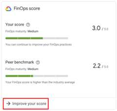 Example of the Finops score widget.