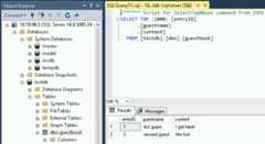 View the results of your query