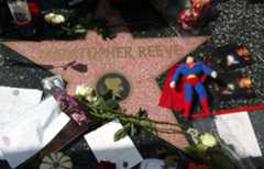 Flowers and memorabilia which were placed on Christopher Reeve's star at the Hollywood Walk of Fame on October 11, 2004 in Hollywood, California. Reeve died of heart failure in October 10, 2004. (Photo by Frazer Harrison/Getty Images)