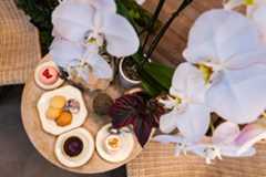 Located in a conjoined storefront, Shop Halo Halo Bakery and Daphne's Botanicals, known collectively as The Botanical Bakeshop, offer a one stop shop for customers looking to decorate their home with colorful plants or grab a sweet treat.