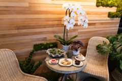 A sitting nook located in the botanical shop.