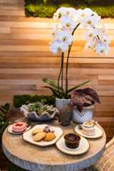 Located in a conjoined storefront, Shop Halo Halo Bakery and Daphne's Botanicals, known collectively as The Botanical Bakeshop, offer a one stop shop for customers looking to decorate their home with colorful plants or grab a sweet treat.