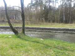 Tama w Osówku
