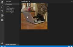 A webview with some HTML