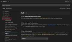 C++ extension settings in the Settings editor