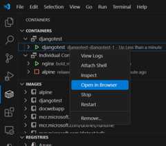 Screenshot - Open in Browser
