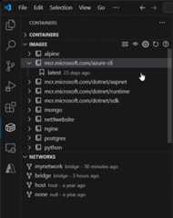 Container Explorer context menu