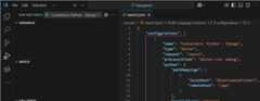 Selected container debug configuration