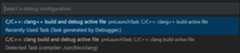 Build and debug task