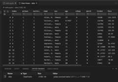 Data viewer and variable explorer