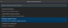 Select existing Jupyter server