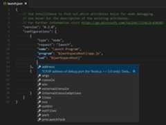 launch json suggestions