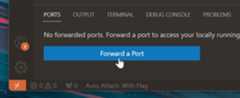 Forward a Port button displayed in the Ports view