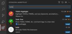 Screenshot of the Extensions view, filtered by 'todo', highlighting the Activity Bar icon.