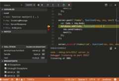 debug