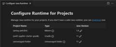 Project runtime