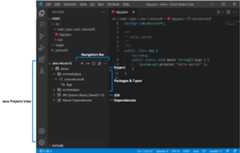 project view