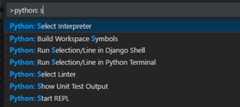 Python: Select Interpreter command