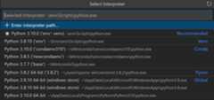 Virtual environment interpreter selection