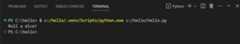 Program output in a Python terminal
