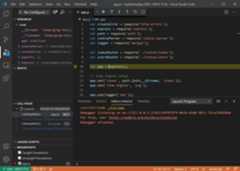 VS Code debug view