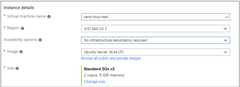 Virtual machine instance details