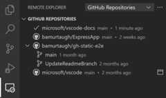 Remote Explorer view
