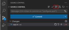 Screenshot that shows the Code Review button in the Source Control view.