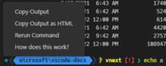 Clicking a successful command decoration shows a context menu containing items: Copy Output, Copy Output as HTML, Rerun Command and How does this work?