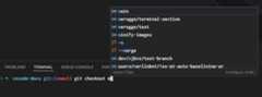 A user has typed git checkout in a terminal and requests completions. The completion list shows branch names like main and merogge/terminal-section