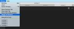 Native Window Tabs