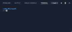 60 FPS is now possible in the terminal