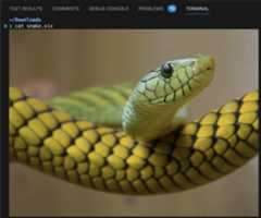 Running cat with a sixel file will print an image
