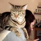 christian.dinh's avatar