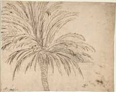 Study of a Palm Tree (recto); Mountain Landscape (verso), Nicolas Poussin  French, Pen and brown ink, over traces of black chalk (recto); pen and brown ink (verso)
