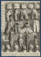 'The Five Orders of Perriwigs', by William Hogarth - NPG D21370