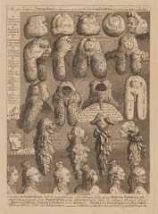 'The Five Orders of Perriwigs', by William Hogarth - NPG D33303
