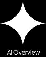 AI Overview Logo