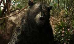 Baloo