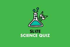Recent Slate Quiz