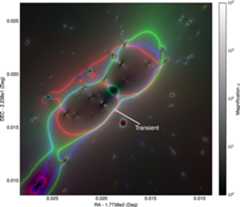 Figure 1. Refer to the following caption and surrounding text.