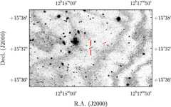 Figure 1. Refer to the following caption and surrounding text.