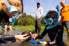 Students examine the riverbed using snorkel gear during an class expedition