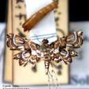 Image of Leatherleaf Fern Borer Moth
