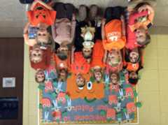 Kindness Cat Unity Day